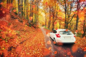 A Pre-Winter Guide to Prepare Your Vehicle for the Season